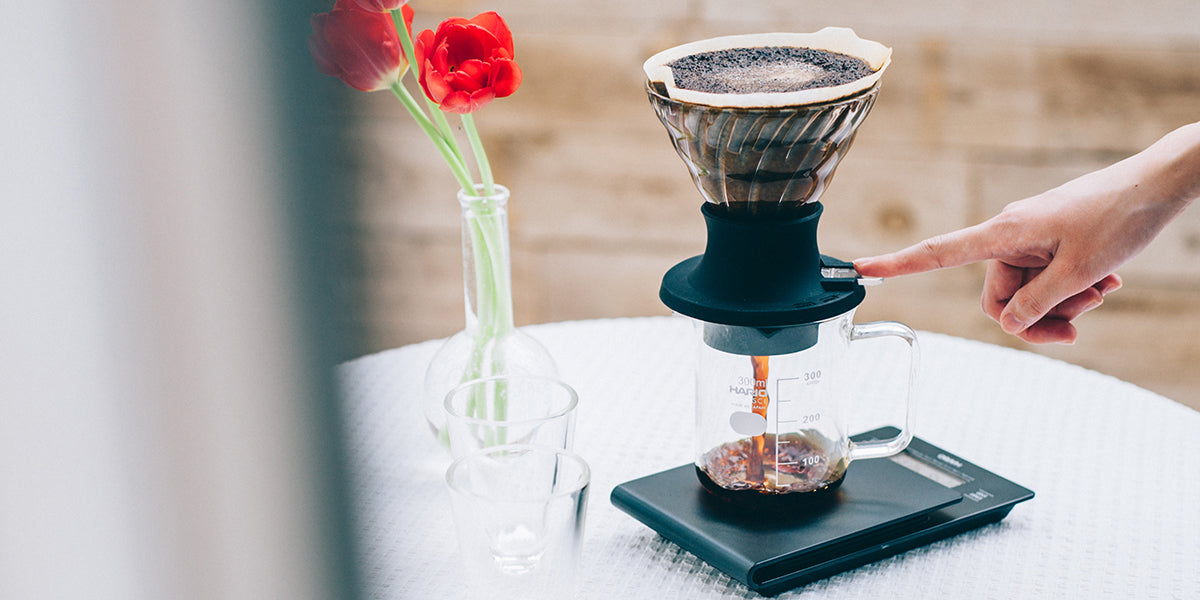 Our Guide to Immersion Coffee Brewing
