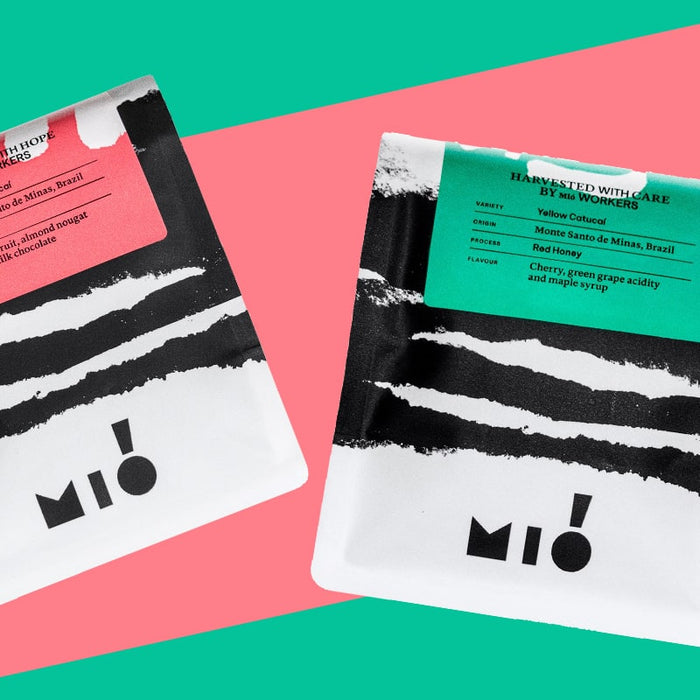 Coffee Roaster Introduction: Mió x Assembly