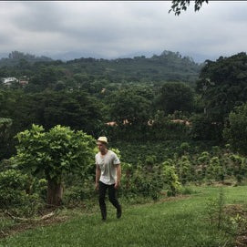 Behind the Cup: a Coffee Journey to Origin