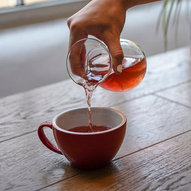 Hario Glass Decanter