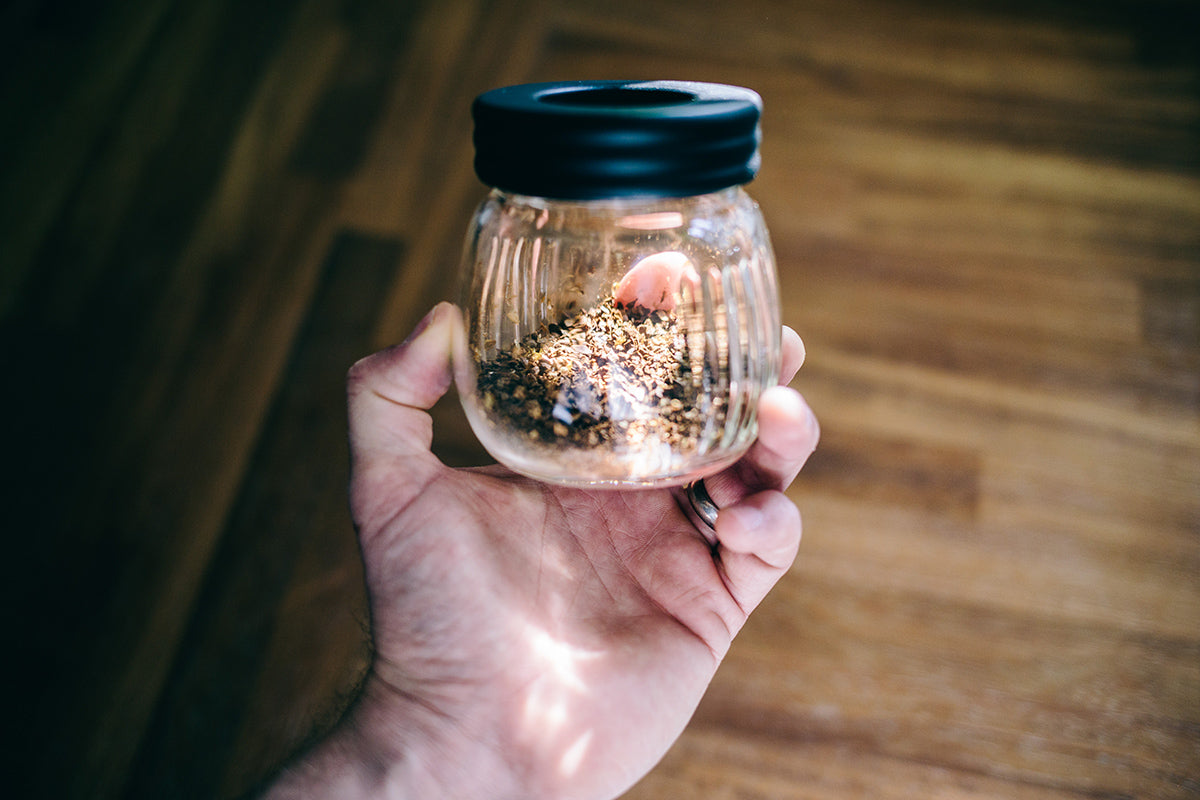 Hario Skerton Coffee Grinder Jar